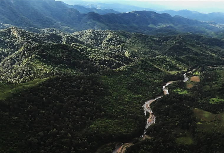 YPFB sale a tranquilizar a ambientalistas: Pozo Domo Oso-X3 se encuentra fuera de la reserva de Tariquía 