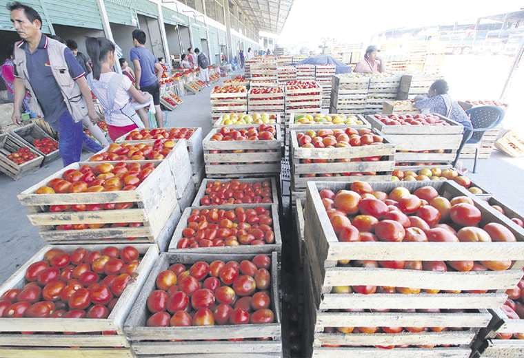 Tras el desbloqueo de la ruta a los valles (Santa Cruz) aumentó la oferta de hortalizas en el nuevo Abasto. Se vende tomate desde Bs 1,50 el kilo. Foto: Jorge Uechi