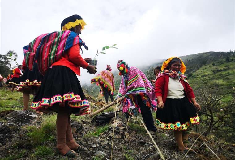 Comunidad de Jajahuana reforestando en Callabamba, Cusco, Perú/ Constantino Aucca