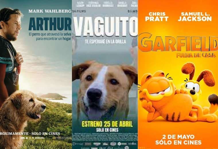 ¿Amante de las mascotas?, estas películas que están en cartelera te harán amarlas más